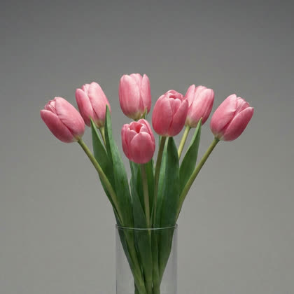 Her pink tulips in a glass vase